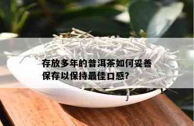 存放多年的普洱茶如何妥善保存以保持更佳口感？