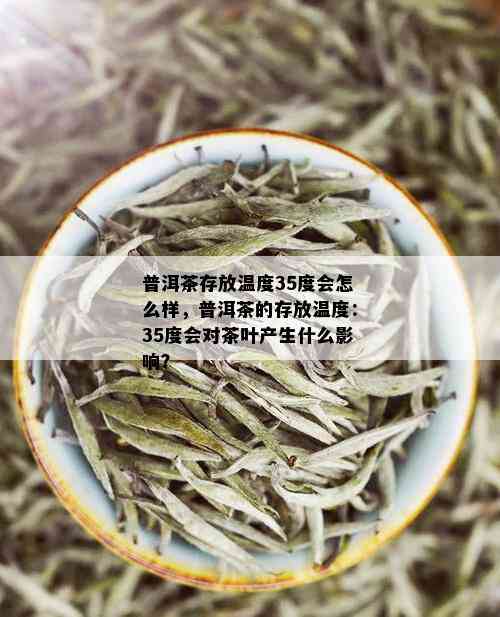 普洱茶存放温度35度会怎么样，普洱茶的存放温度：35度会对茶叶产生什么影响？