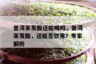 普洱茶发酸还能喝吗，普洱茶发酸，还能否饮用？专家解析