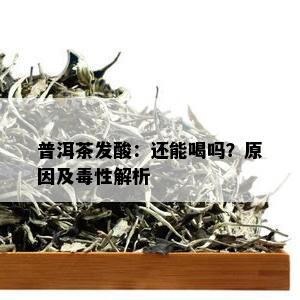 普洱茶发酸：还能喝吗？原因及性解析