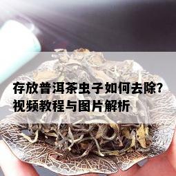 存放普洱茶虫子如何去除？视频教程与图片解析