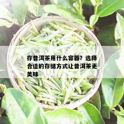 存普洱茶用什么容器？选择合适的存储方式让普洱茶更美味