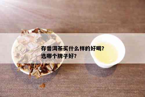 存普洱茶买什么样的好喝？选哪个牌子好？