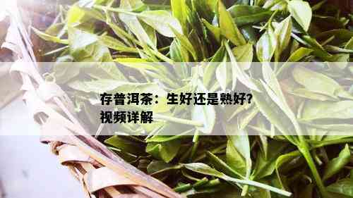 存普洱茶：生好还是熟好？视频详解