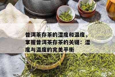 普洱茶存茶的湿度和温度，掌握普洱茶存茶的关键：湿度与温度的完美平衡