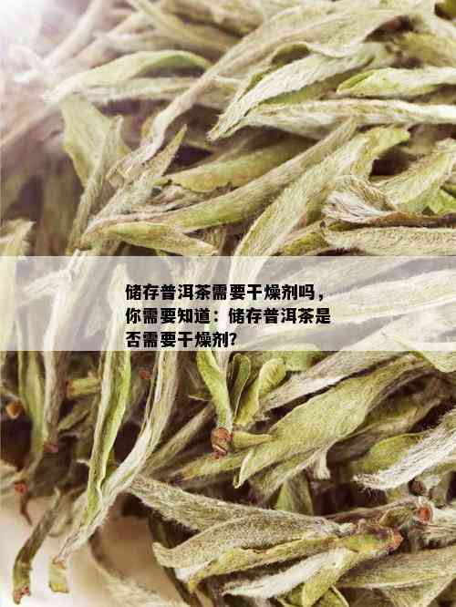 储存普洱茶需要干燥剂吗，你需要知道：储存普洱茶是否需要干燥剂？