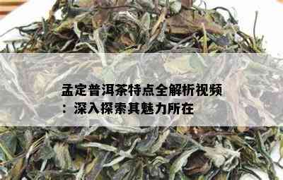 孟定普洱茶特点全解析视频：深入探索其魅力所在