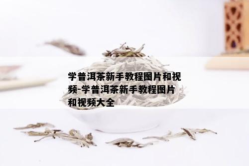 学普洱茶新手教程图片和视频-学普洱茶新手教程图片和视频大全