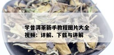 学普洱茶新手教程图片大全视频：详解、下载与讲解