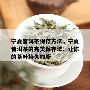 宁夏普洱茶保存方法，宁夏普洱茶的完美保存法：让你的茶叶持久如新