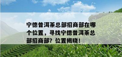 宁德普洱茶总部招商部在哪个位置，寻找宁德普洱茶总部招商部？位置揭晓！