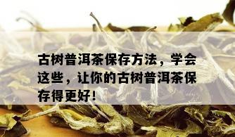 古树普洱茶保存方法，学会这些，让你的古树普洱茶保存得更好！