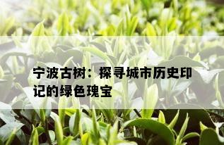 宁波古树：探寻城市历史印记的绿色瑰宝