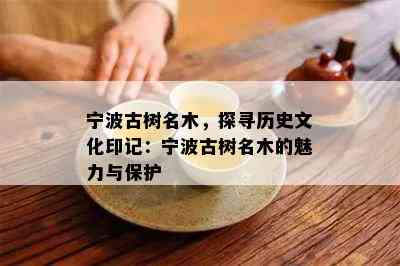 宁波古树名木，探寻历史文化印记：宁波古树名木的魅力与保护