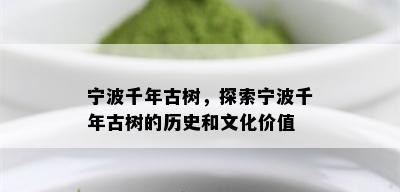 宁波千年古树，探索宁波千年古树的历史和文化价值