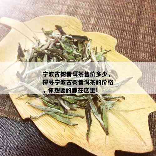 宁波古树普洱茶售价多少，探寻宁波古树普洱茶的价格，你想要的都在这里！