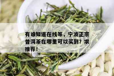 有谁知道在线等，宁波正宗普洱茶在哪里可以买到？求推荐！