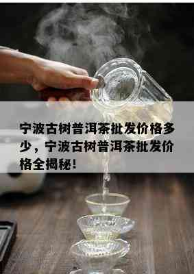 宁波古树普洱茶批发价格多少，宁波古树普洱茶批发价格全揭秘！