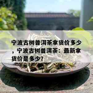 宁波古树普洱茶拿货价多少，宁波古树普洱茶：最新拿货价是多少？