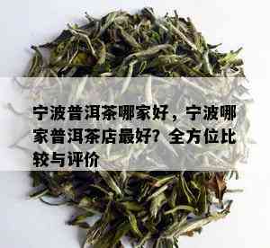 宁波普洱茶哪家好，宁波哪家普洱茶店更好？全方位比较与评价