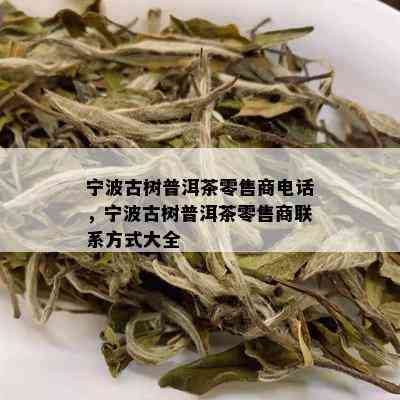 宁波古树普洱茶零售商电话，宁波古树普洱茶零售商联系方式大全