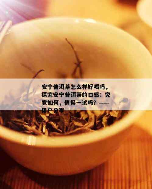 安宁普洱茶怎么样好喝吗，探究安宁普洱茶的口感：究竟如何，值得一试吗？——用户分享