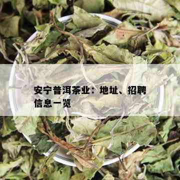 安宁普洱茶业：地址、招聘信息一览