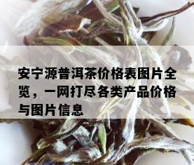 安宁源普洱茶价格表图片全览，一网打尽各类产品价格与图片信息