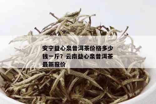 安宁益心泉普洱茶价格多少钱一斤？云南益心泉普洱茶最新报价