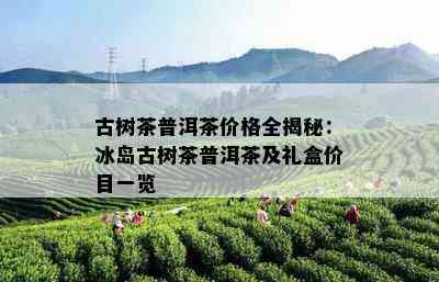 古树茶普洱茶价格全揭秘：冰岛古树茶普洱茶及礼盒价目一览