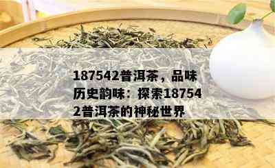 187542普洱茶，品味历史韵味：探索187542普洱茶的神秘世界