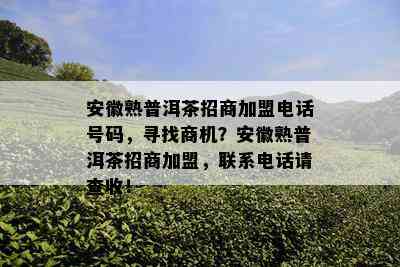 安徽熟普洱茶招商加盟电话号码，寻找商机？安徽熟普洱茶招商加盟，联系电话请查收！