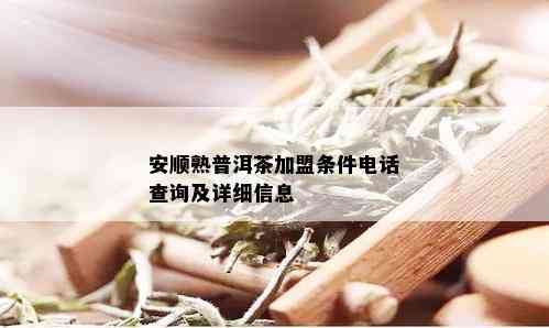 安顺熟普洱茶加盟条件电话查询及详细信息