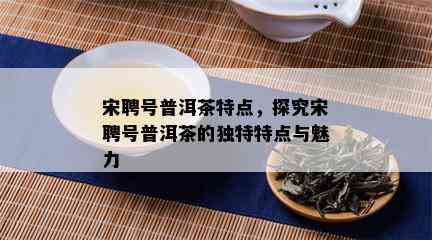 宋聘号普洱茶特点，探究宋聘号普洱茶的独特特点与魅力