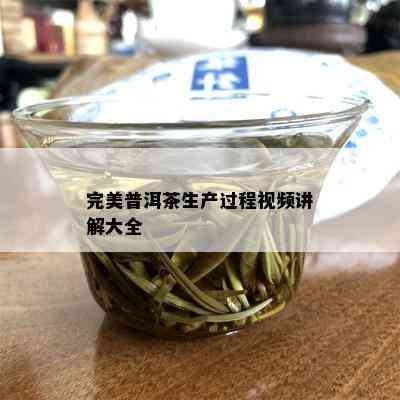 完美普洱茶生产过程视频讲解大全