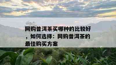 网购普洱茶买哪种的比较好，如何选择：网购普洱茶的更佳购买方案