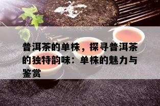 普洱茶的单株，探寻普洱茶的独特韵味：单株的魅力与鉴赏