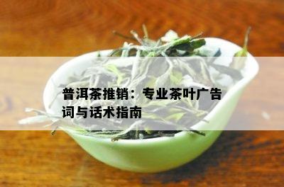 普洱茶推销：专业茶叶广告词与话术指南