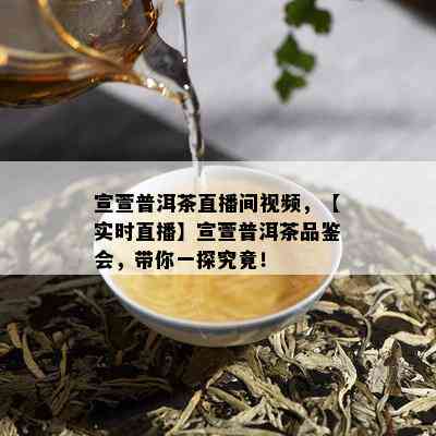 宣萱普洱茶直播间视频，【实时直播】宣萱普洱茶品鉴会，带你一探究竟！