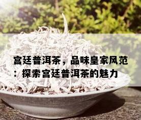 宫廷普洱茶，品味皇家风范：探索宫廷普洱茶的魅力