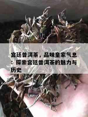 宫廷普洱茶，品味皇家气息：探索宫廷普洱茶的魅力与历史