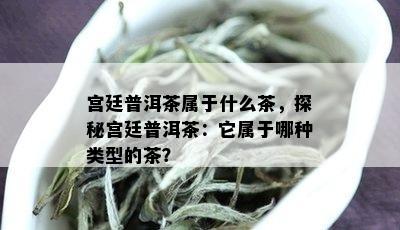 宫廷普洱茶属于什么茶，探秘宫廷普洱茶：它属于哪种类型的茶？