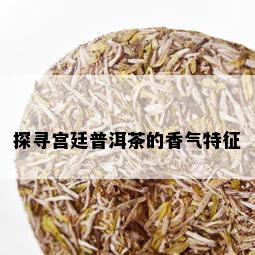 探寻宫廷普洱茶的香气特征