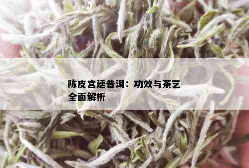 陈皮宫廷普洱：功效与茶艺全面解析