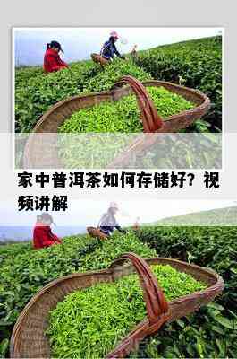 家中普洱茶如何存储好？视频讲解