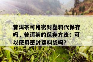 普洱茶可用密封塑料代保存吗，普洱茶的保存方法：可以使用密封塑料袋吗？