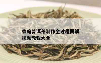 家庭普洱茶制作全过程图解视频教程大全