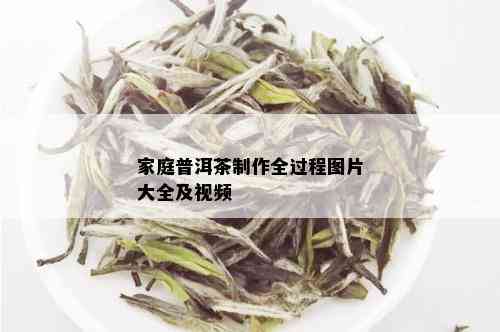 家庭普洱茶制作全过程图片大全及视频