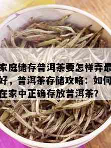 家庭储存普洱茶要怎样弄更好，普洱茶存储攻略：如何在家中正确存放普洱茶？