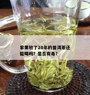 家里放了20年的普洱茶还能喝吗？是否有？